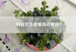 抖音怎么老是自动弹回？