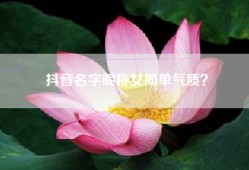 抖音名字昵称女简单气质？