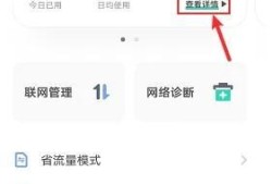 vivo手机怎么打开且查看流量使用详情优质