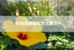 抖音直播唱歌怎么操作？