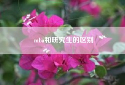 mba和研究生的区别