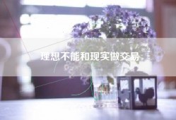 理想不能和现实做交易