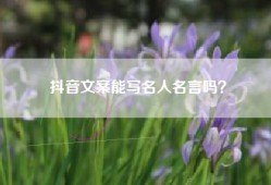 抖音文案能写名人名言吗？