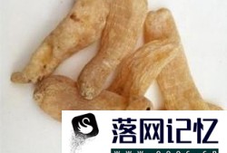 天麻怎么吃？优质