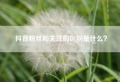 抖音粉丝和关注的区别是什么？