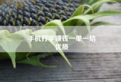 手机打字赚钱一单一结
优质