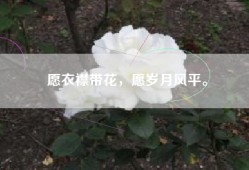 愿衣襟带花，愿岁月风平。