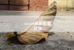 vivox60参数配置
优质