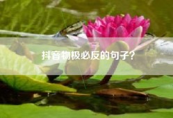 抖音物极必反的句子？