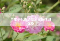 苹果手机丢了怎么定位找回
优质