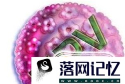 HPV疫苗的作用机理是什么优质