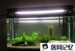 水族鱼缸草缸为什么要换水？如何换水？优质