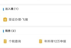怎么查询个人所得税缴纳记录优质