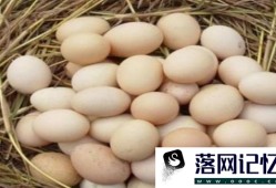 怎么挑选鸡蛋优质