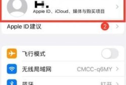 iPhone14怎么开启自动验证功能优质