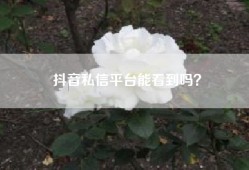 抖音私信平台能看到吗？