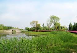 池塘生春草,园柳变鸣禽是什么意思?