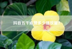 抖音五千点赞多少播放量？