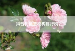 抖音代运营机构排行榜？