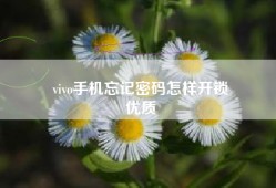 vivo手机忘记密码怎样开锁
优质