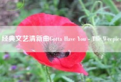 经典文艺清新曲Gotta Have You - The Weepies