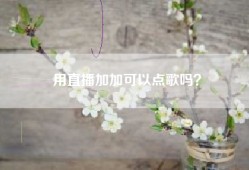 用直播加加可以点歌吗？