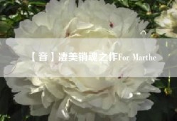 【音】凄美销魂之作For Marthe