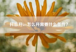 抖音开ktv怎么开需要什么条件？