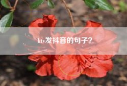 ktv发抖音的句子？