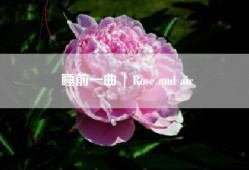 睡前一曲 | Rose and air