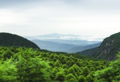 明月山有多高