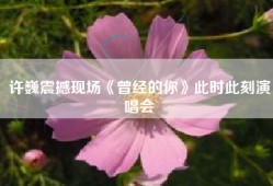 许巍震撼现场《曾经的你》此时此刻演唱会