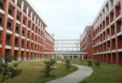 职高学校学什么