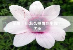 苹果手机怎么投屏到电视上
优质