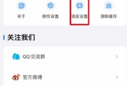 Top Widgets怎么把软件界面修改成英文优质