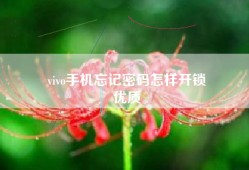 vivo手机忘记密码怎样开锁
优质