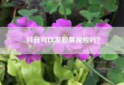 抖音可以发股票视频吗？