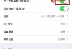 苹果手机语音控制怎么关闭优质