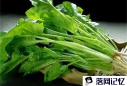 胃疼吃蔬菜好消化吗