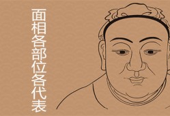 鼻子面相图解：鼻子面相看人生运程