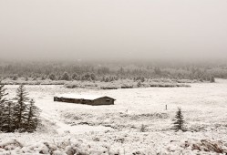 大雪节气的特点和风俗是什么