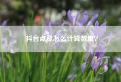 抖音点赞怎么计算数量？