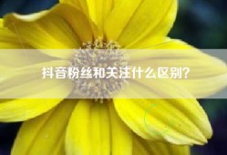 抖音粉丝和关注什么区别？