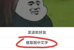 怎样把图片上的文字复制下来优质