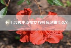 分手后男生点赞女方抖音说明什么？