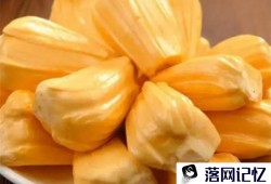 菠萝蜜核的功效与作用