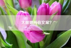 大眼猫抖音文案？