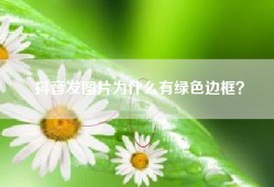 抖音发图片为什么有绿色边框？