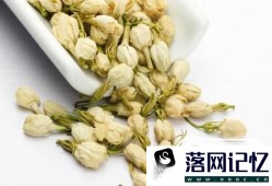 茉莉花茶的功效和禁忌你知道吗？优质