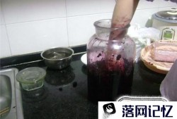 怎么制作桑葚酒？优质